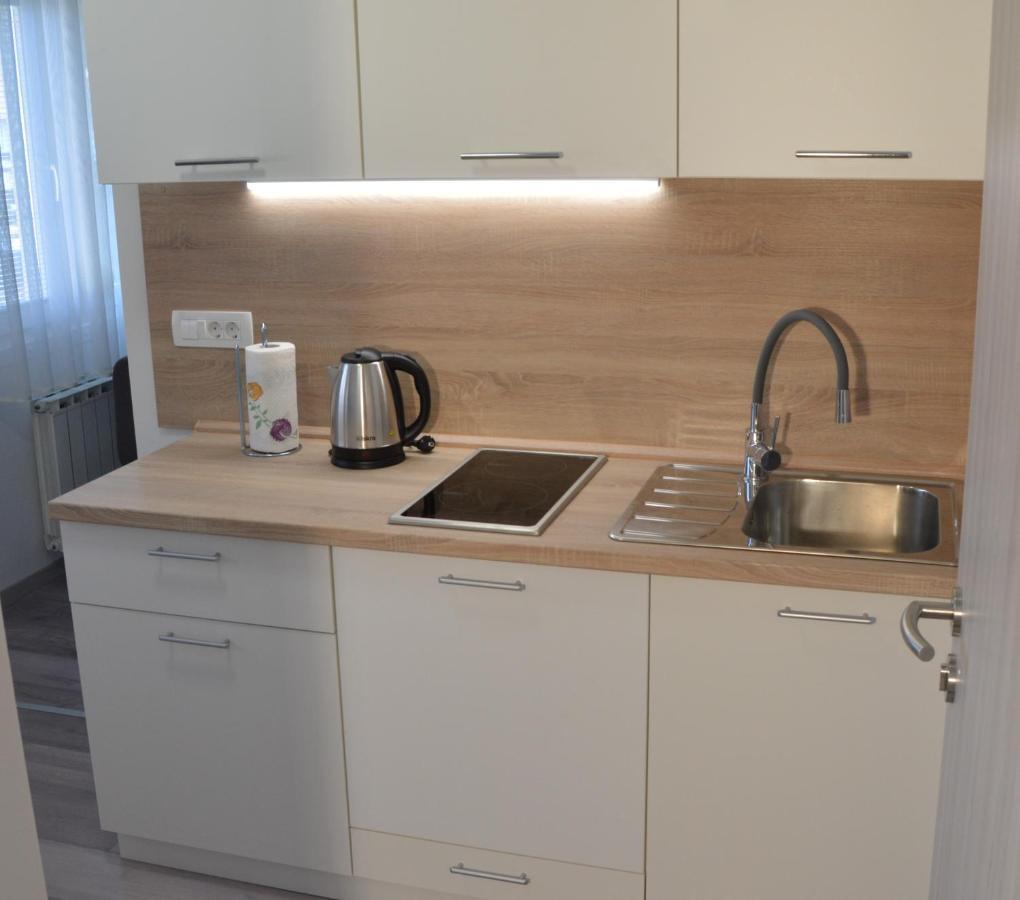 Apartma Vila Zigmund Cerknica Exterior foto