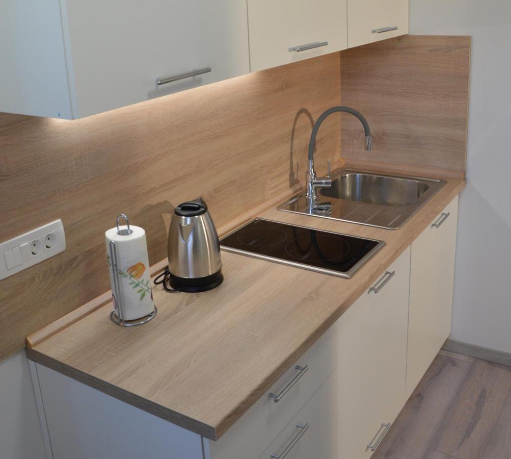 Apartma Vila Zigmund Cerknica Exterior foto